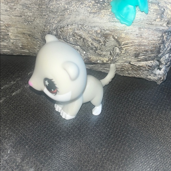 For Julie
Littlest Pet Shop Animals - Picture 6 of 11